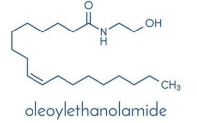 Palmitoiletanolamide